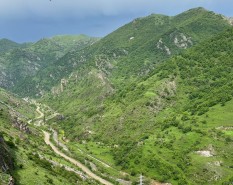 Azerbaijan reveals growing business presence in Karabakh and East Zangazur