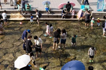 Killer heatwave claims 16 lives in South Korea