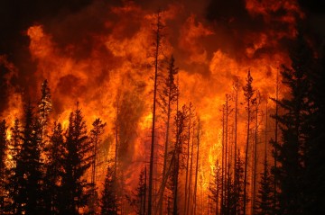 Syrian authorities evacuate citizens amid major forest fires
