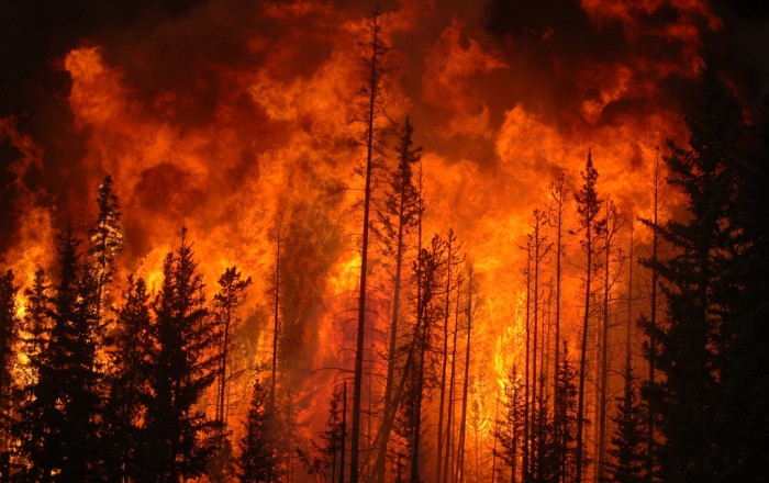 Syrian authorities evacuate citizens amid major forest fires