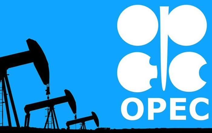 Kazakhstan, Azerbaijan to anchor Europe's oil supply through 2050, OPEC says
