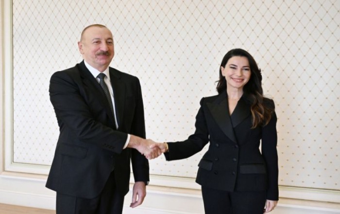 Президент Азербайджана принял министра экономики и устойчивого развития Грузии