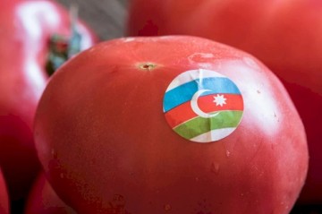 Moskva ilə Bakının arası pozularsa, kim daha çox itirəcək? -