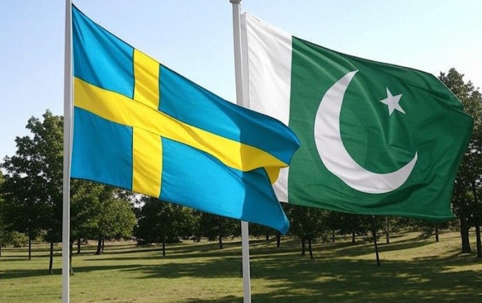 Pakistan and Sweden hold bilateral political consultations
