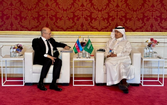 Azerbaijan, Saudi Arabia discuss cooperation in hydrocarbon sector