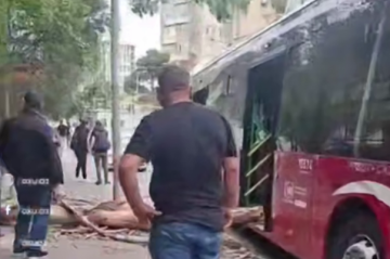 Külək ağacı avtobusun üzərinə aşırdı - Video