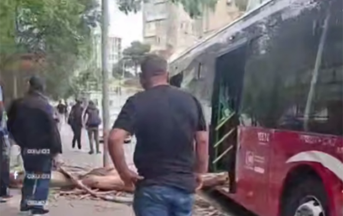 Külək ağacı avtobusun üzərinə aşırdı - Video