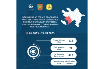 ANAMA: 145 mines and 417 UXOs neutralized last week