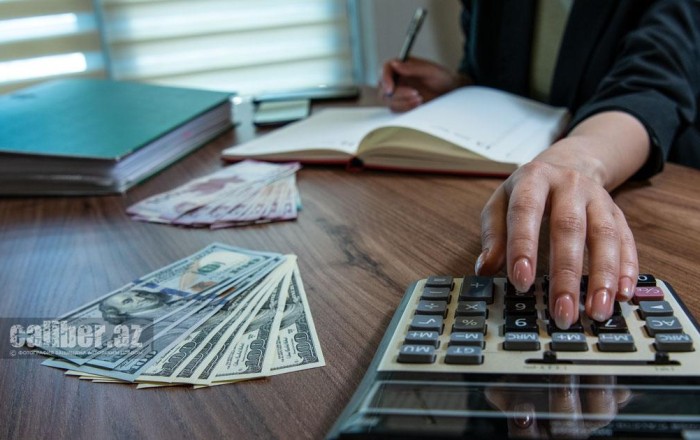 В Азербайджане оборот субъектов МСП превысил 48 млрд манатов