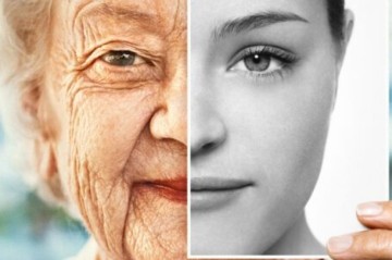 Blood of exceptionally long-lived people suggests key differences