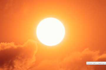 Extreme heat is breaking records worldwide: UN weather agency