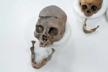 Colombian scientists identify previously unknown ancient human lineage
