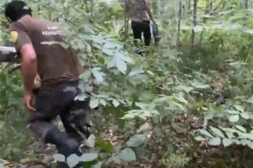 Спасатели МЧС нашли живым пропавшего в лесу жителя Шабранского района - ВИДЕО