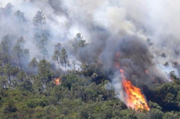 Heatwave fuels deadly wildfires in Spain