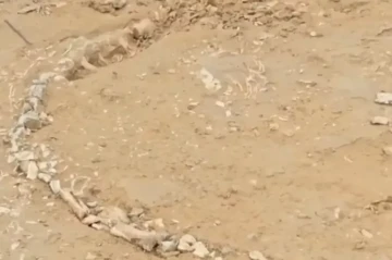 Rare Jurassic-era fossil unearthed in India