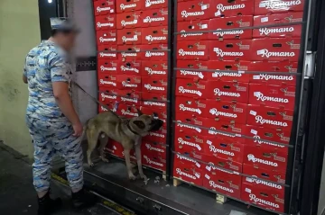 Azerbaijan seizes narcotics in truck en route from Iran to Russia PHOTO