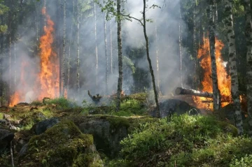 Europe faces worst wildfire season on record, Spain at epicentre