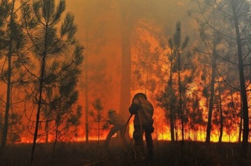 Thousands evacuated as wildfires scorch Greece