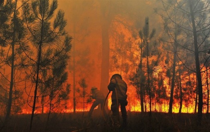 Thousands evacuated as wildfires scorch Greece