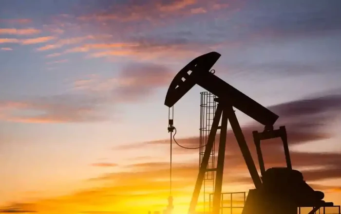 India seeks alternative oil supplies around the world
