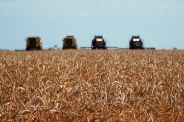 Kyrgyzstan releases key data on state-backed agricultural loan program