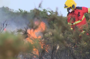 UK suffers worst ever year for wildfires - with total set to eclipse 1,000