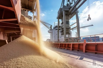 Kazakhstan boosts wheat exports with strong demand from Central Asia and China