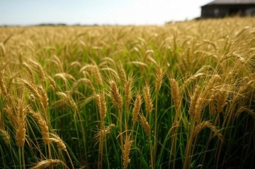 Kazakh agrarian domain receives financial boost and new research center