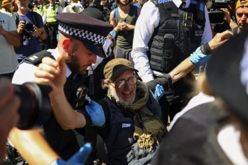 London arrests dozens over support for banned group Palestine Action