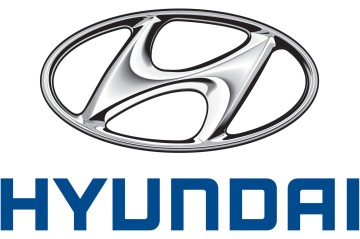 US detains up to 450 ‘unlawful aliens’ at Hyundai Motors