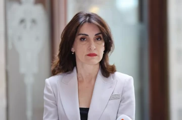 Georgian FM: EU not ready to turn visa-free regime into political tool