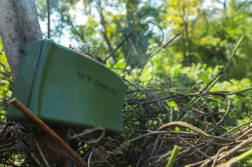 Azerbaijani sappers defuse lethal Armenian mine hidden in Khojavand forest photo