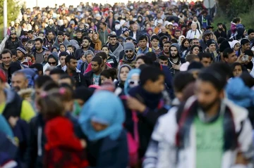 Germany sees 55% drop in asylum applications in October