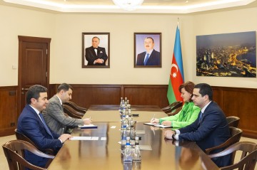 Samir Rzayev Slovakiyanın səfiri ilə görüşdü