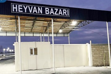 Bərdə heyvan bazarı açıldı - Fotolar