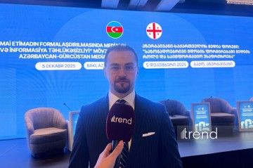 Disinformation constant challenge for Georgia and Azerbaijan - expert (Exclusive)