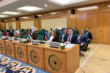 Azerbaijani Deputy FM participates in OIC extraordinary meeting on Somalia