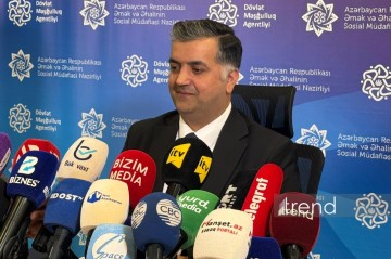 Azad edilən ərazilərdə işlə təmin edilən vətəndaşların sayı açıqlandı