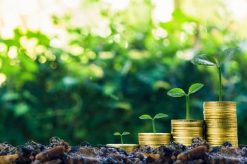 Uzbekistan makes manufacturing and energy its investment priority for 2025