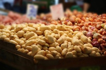 German company announces tender for feasibility study on food systems in Tajikistan