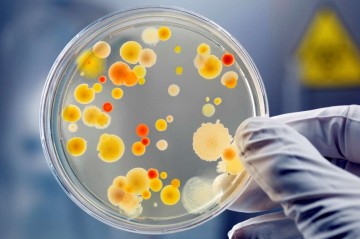 ABŞ-də süni intellekt insanlar üçün yeni ölümcül virus yaratdı