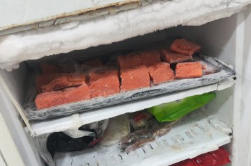 “SushiNano”nun fəaliyyəti dayandırıldı - Nöqsanlar var imiş