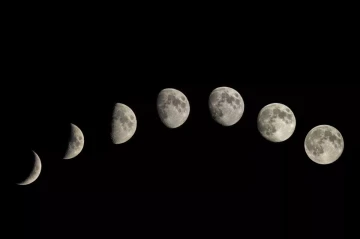Elon Musk: "Time to go back to the Moon at scale"