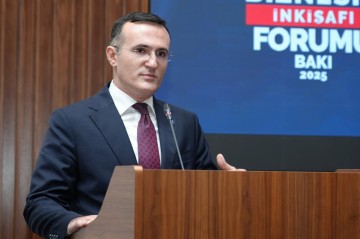 “Yerli büdcələrə yerli vergilərdən təxminən 7,2 milyon manat daxil olub”
