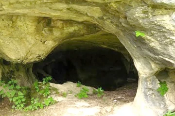 Ancient human remains found in Azerbaijan undergo international analysis