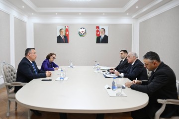 Azerbaijan's prime minister meets with first vice president of Costa Rica