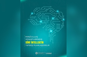 Məşğulluq xidmətlərində də süni intellektin tətbiqi planlaşdırılır