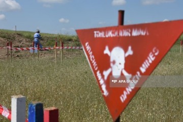 Обучение детей погибших при разминировании будет оплачиваться из госбюджета