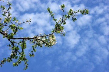 Partly cloudy and scattered rain expected tomorrow