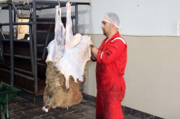 Bu rayonlarda da heyvanların kəsim və satış xidmətləri təşkil olunacaq